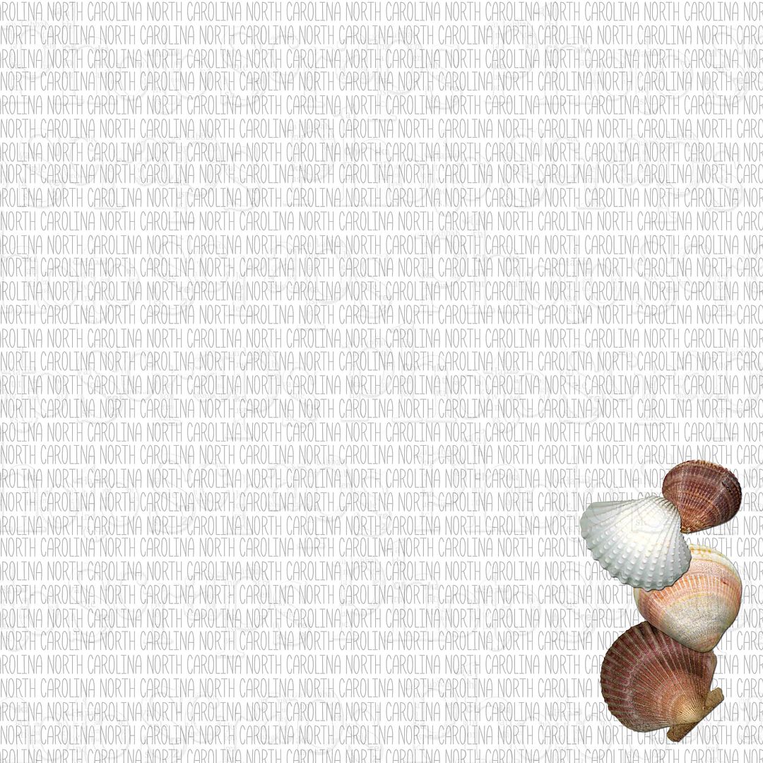 North Carolina Right Page Shells Photo Scraps