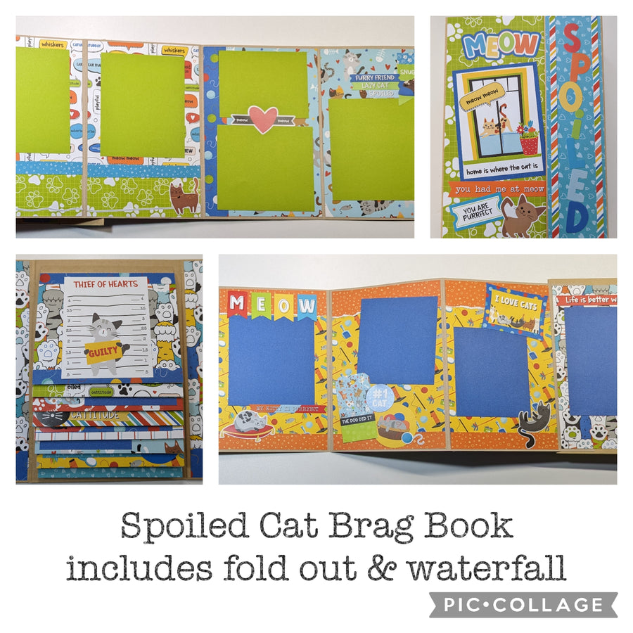 Spoiled Cat Brag Book Mini Album – Photo Scraps