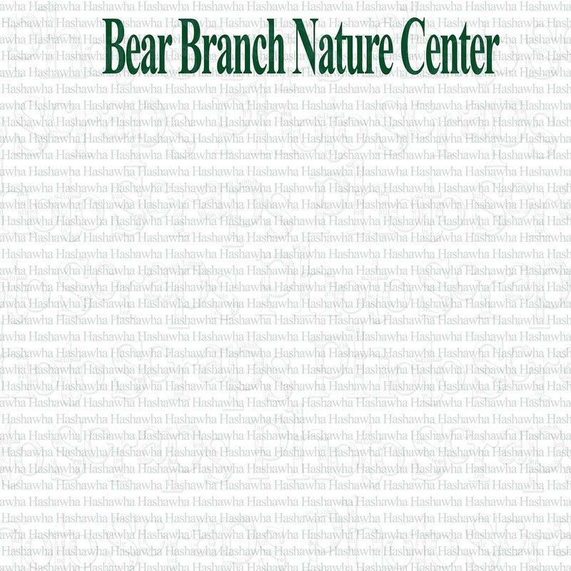 Bear Branch