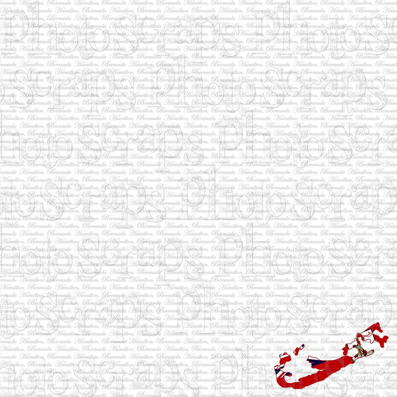 Bermuda Hamilton with Flag shaped island