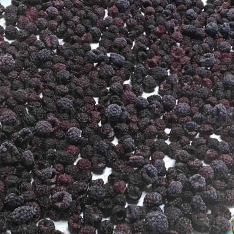 Black Raspberries