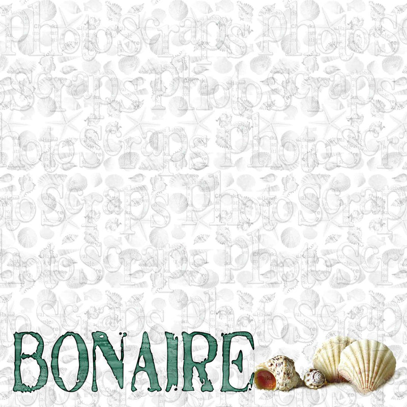 Bonaire ver shells
