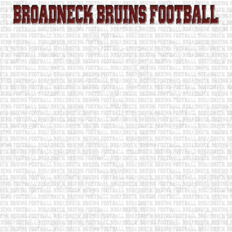 Broadneck High Bruins Footall title