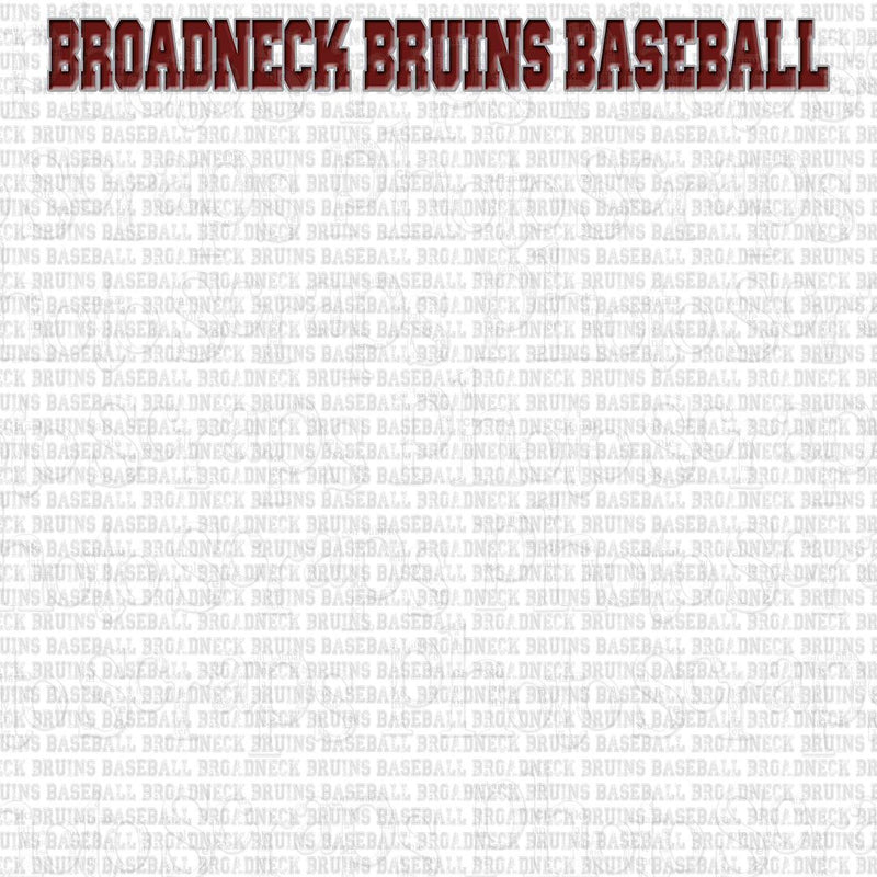 Broadneck High Bruins baseball title