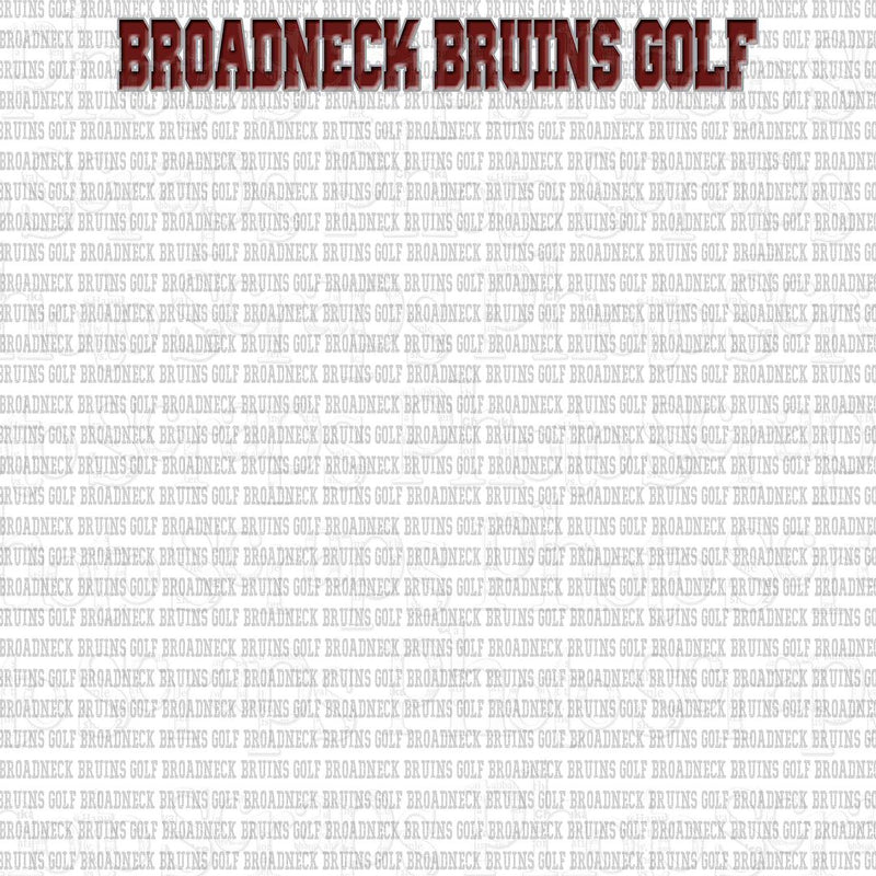Broadneck High Golf title