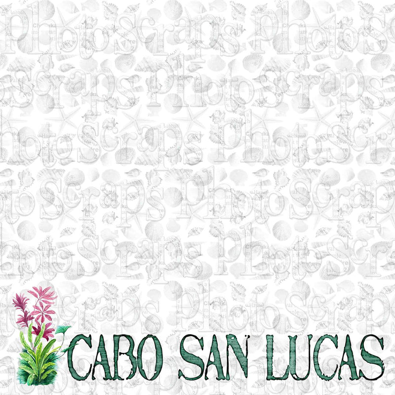 Cabo San Lucas title over shells