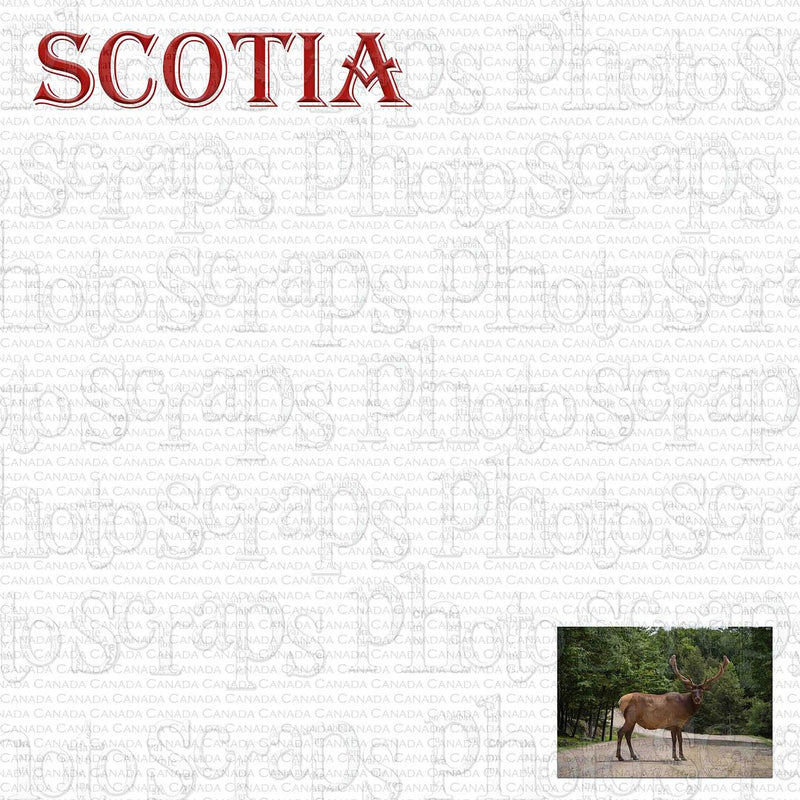 Canada Scotia