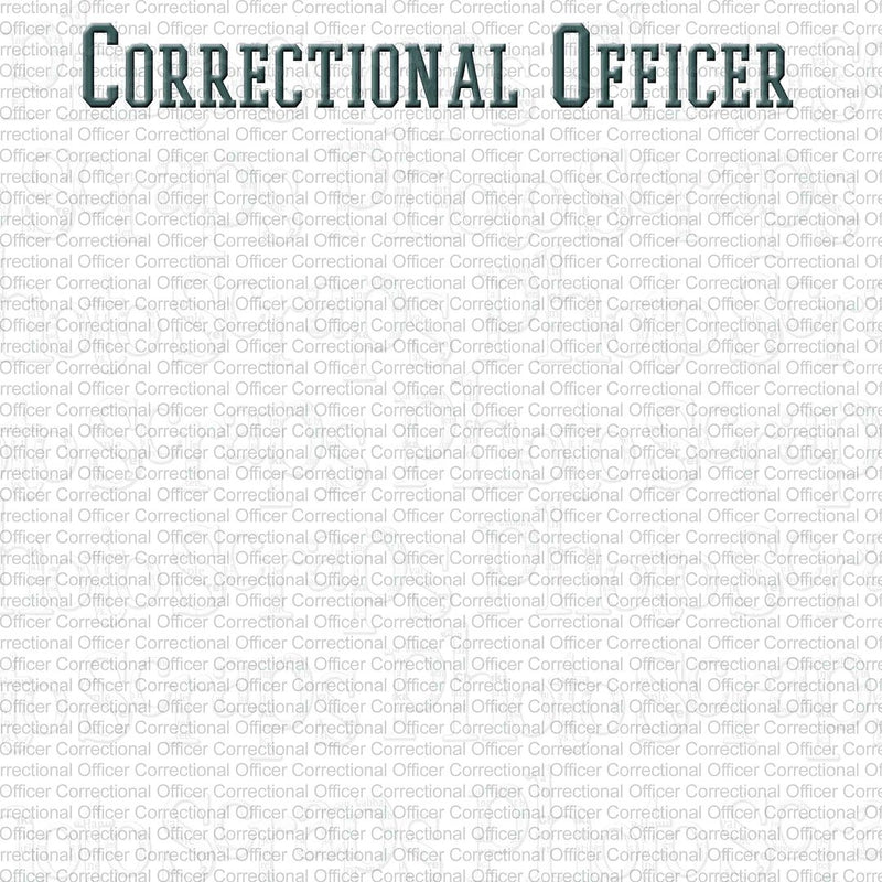 Correctional Officer  title