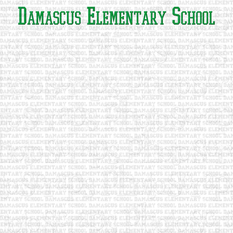 Damascus Elementary School Title A