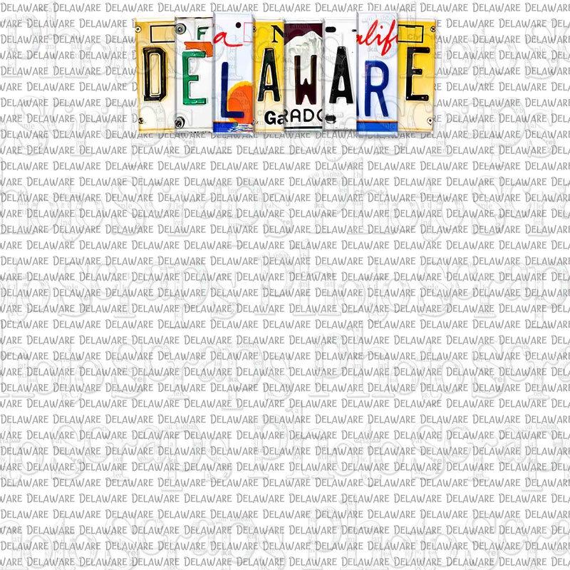 Delaware State License Plate Title