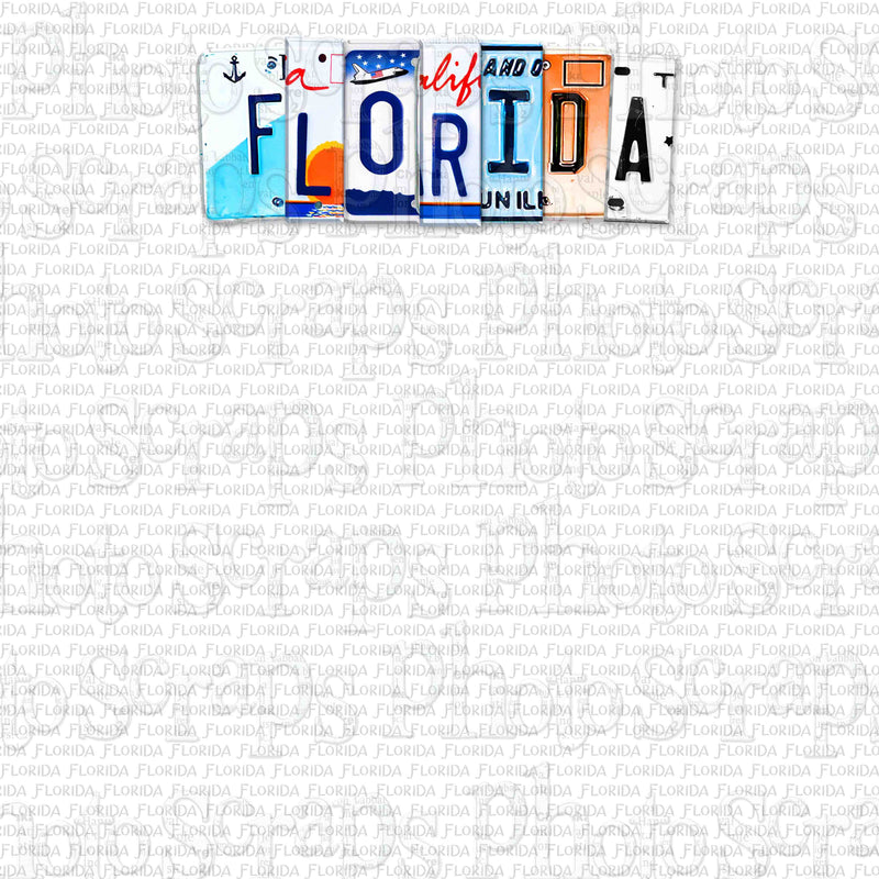 Florida State License Plate Title