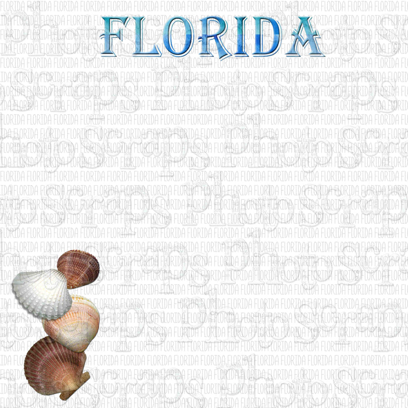 Florida Title In Blue Repeating With Shells Left
