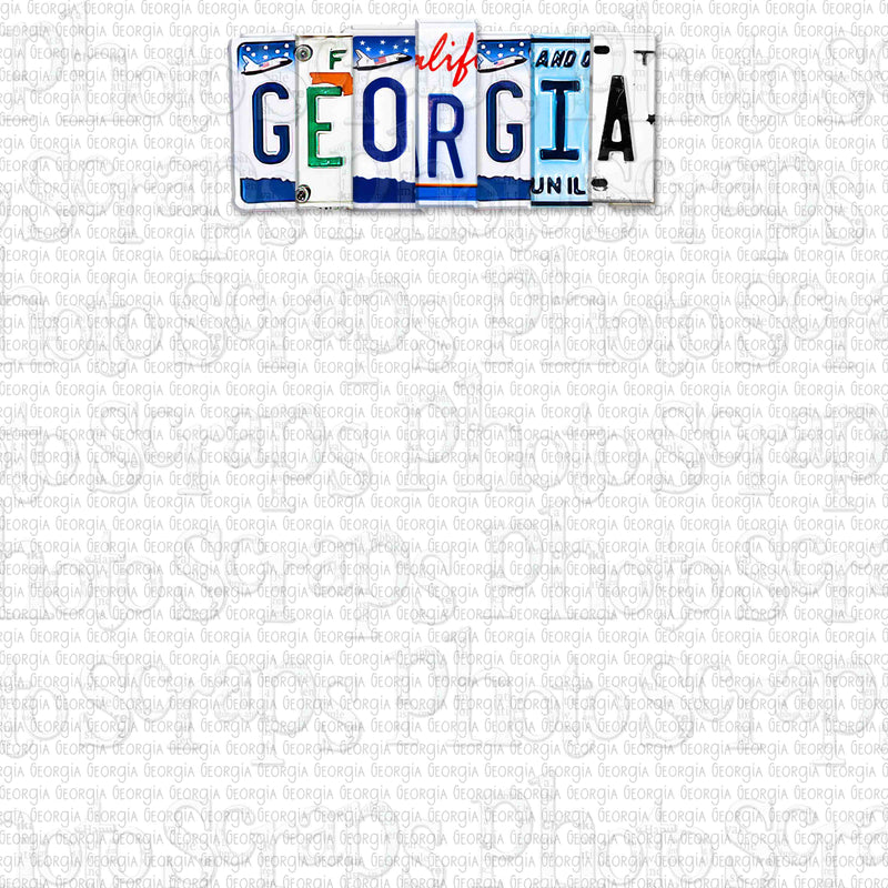 Georgia State License Plate Title