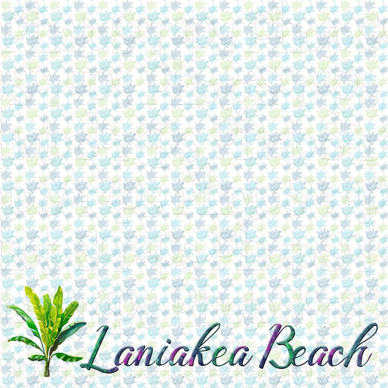 Hawaii Laniakea Beach