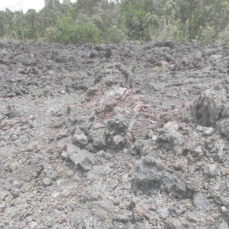 Hawaii lava field