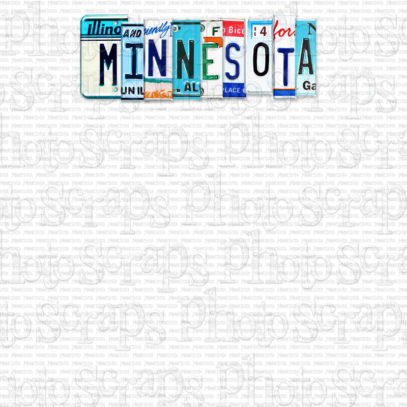 Minnesota State License Plate Title