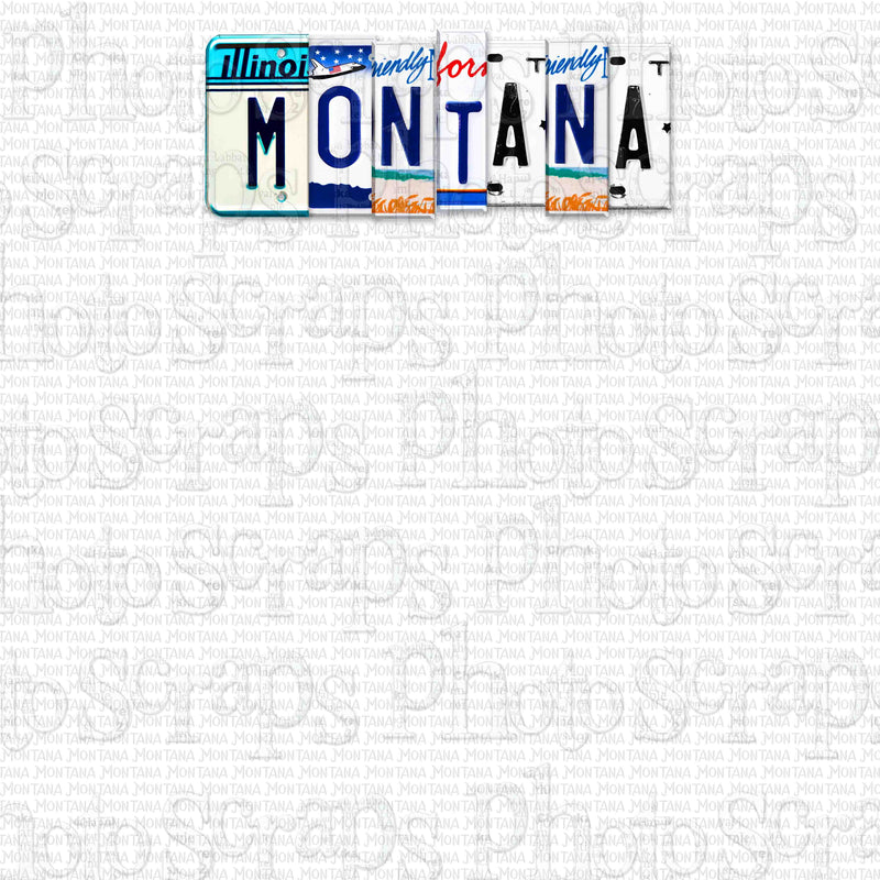 Montana State License Plate Title