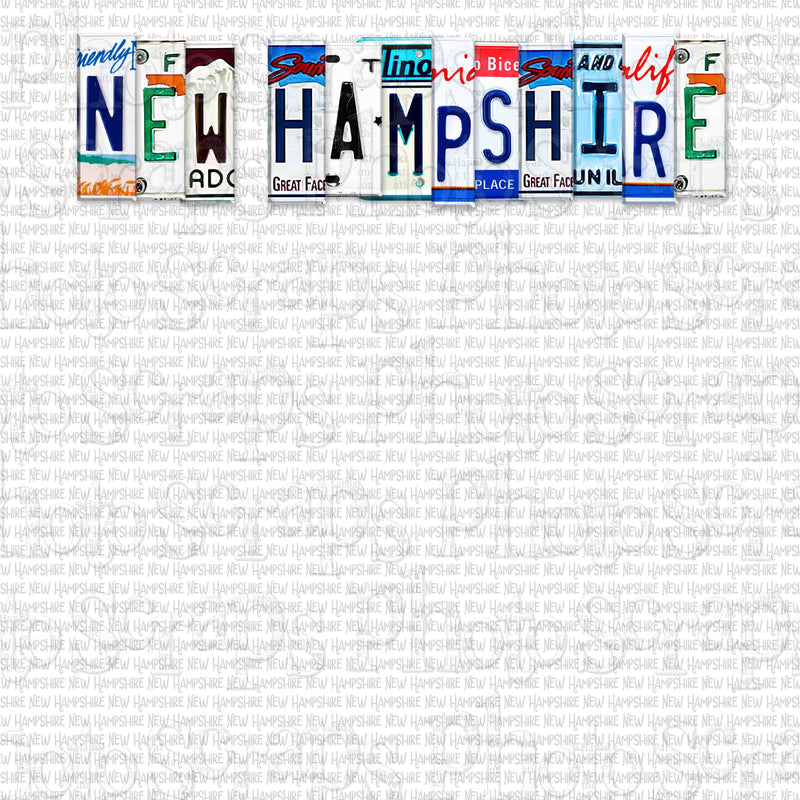 New Hampshire State License Plate Title