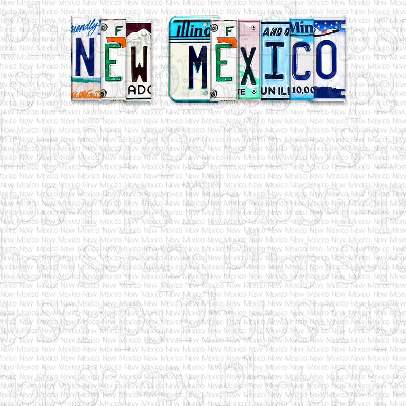 New Mexico State License Plate Title