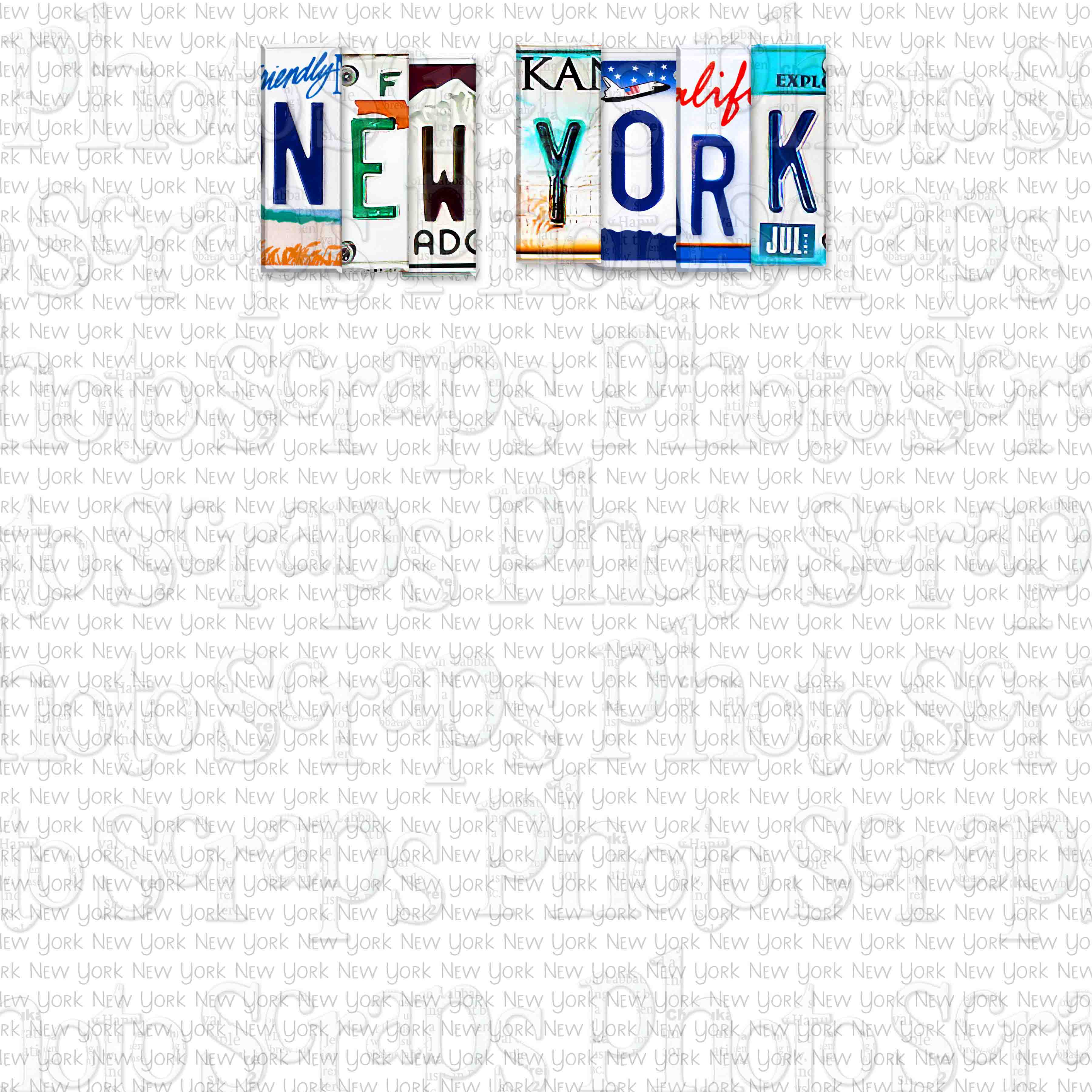 New York State License Lookup - 98u982n
