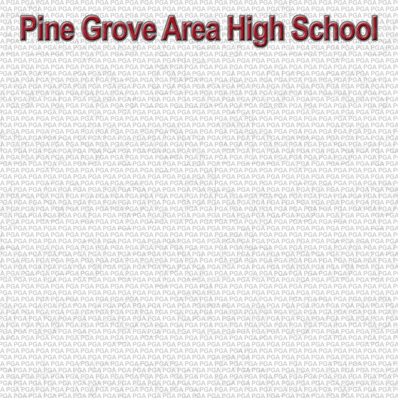 Pine Grove Area High School title