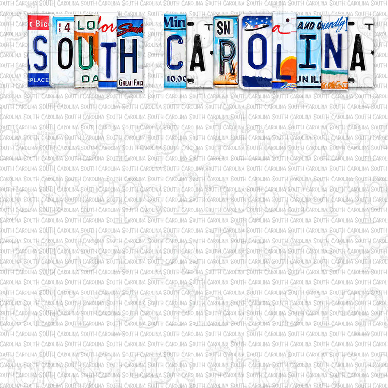 South Carolina License Plate Title