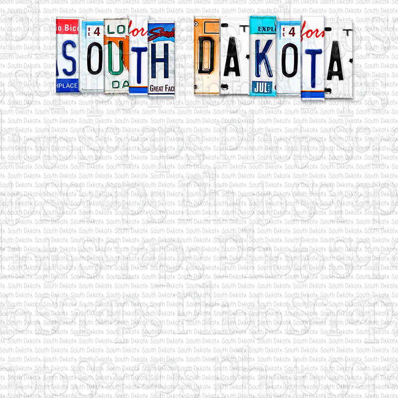 South Dakota License Plate Title