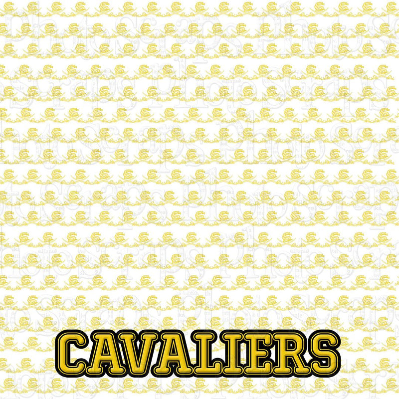 South carroll Cavaliers over swords