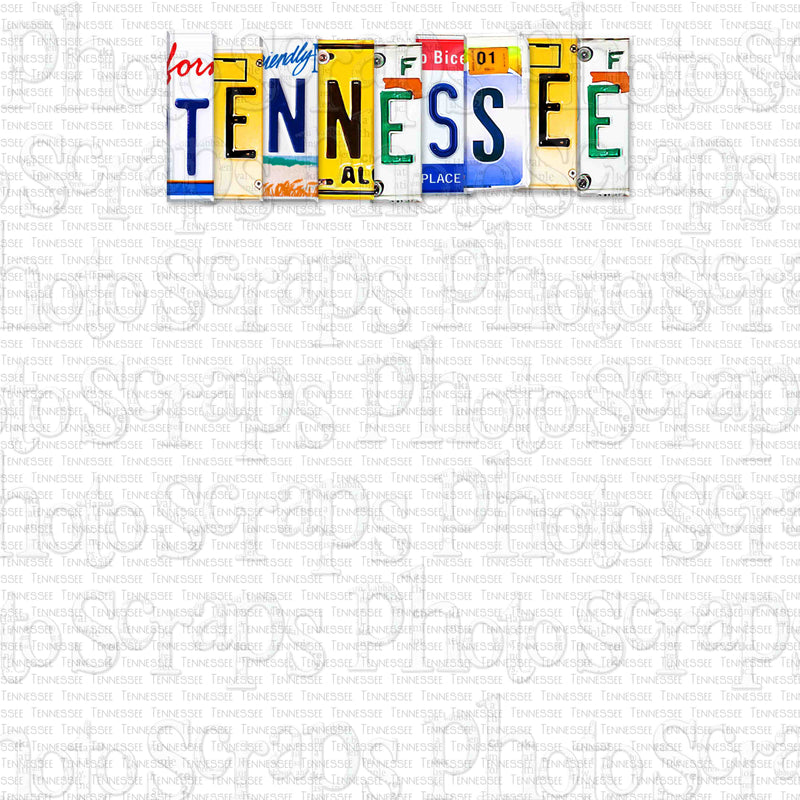 Tennessee State License Plate Title