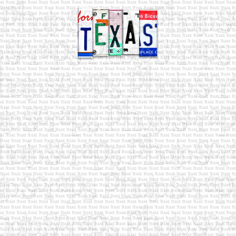 Texas State License Plate Title