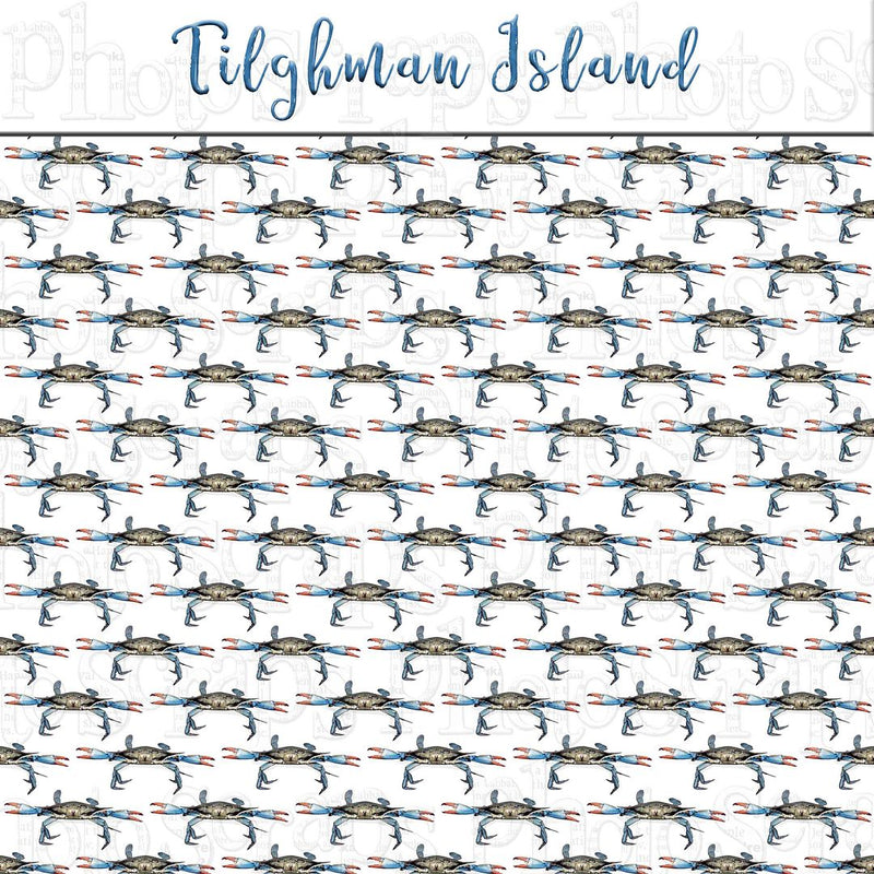 Tilghman Island over blue crabs