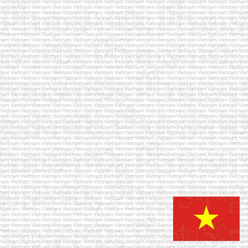 Vietnam with flag
