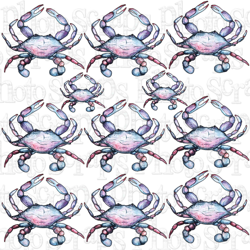 Watercolor Large Crab