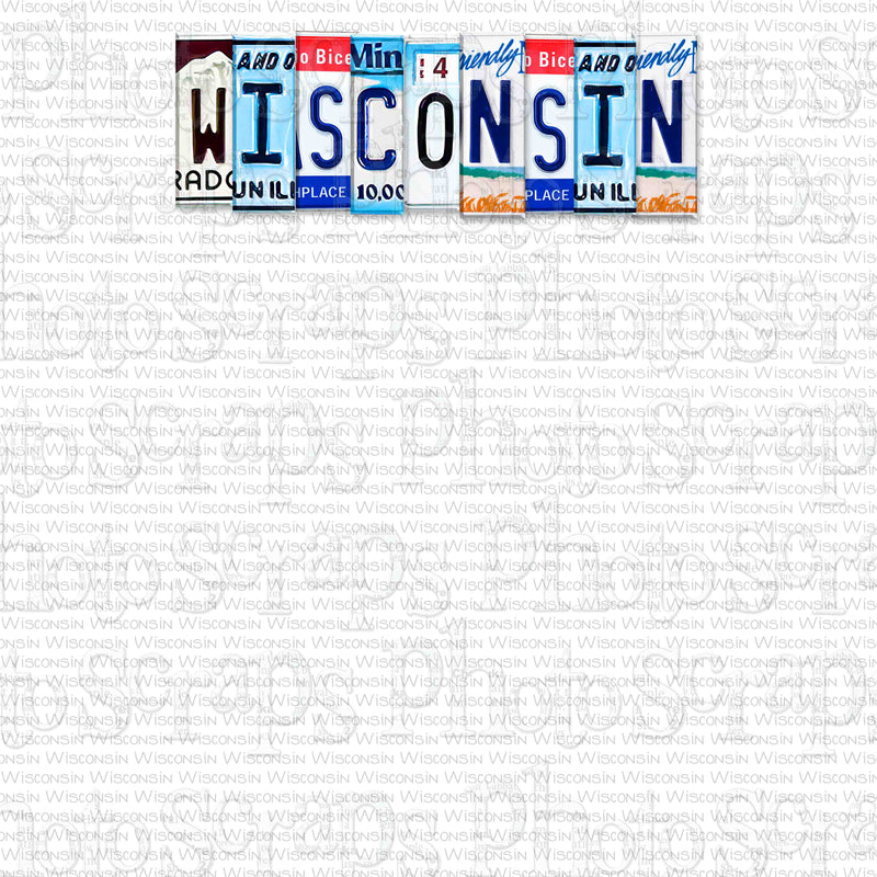 Wisconsin License Plate Title