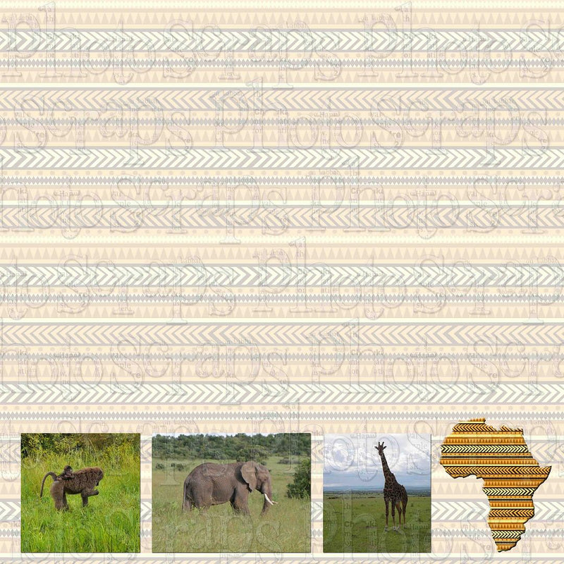 africa Animals
