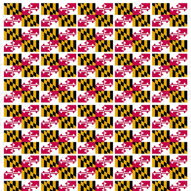 md repeating flag final