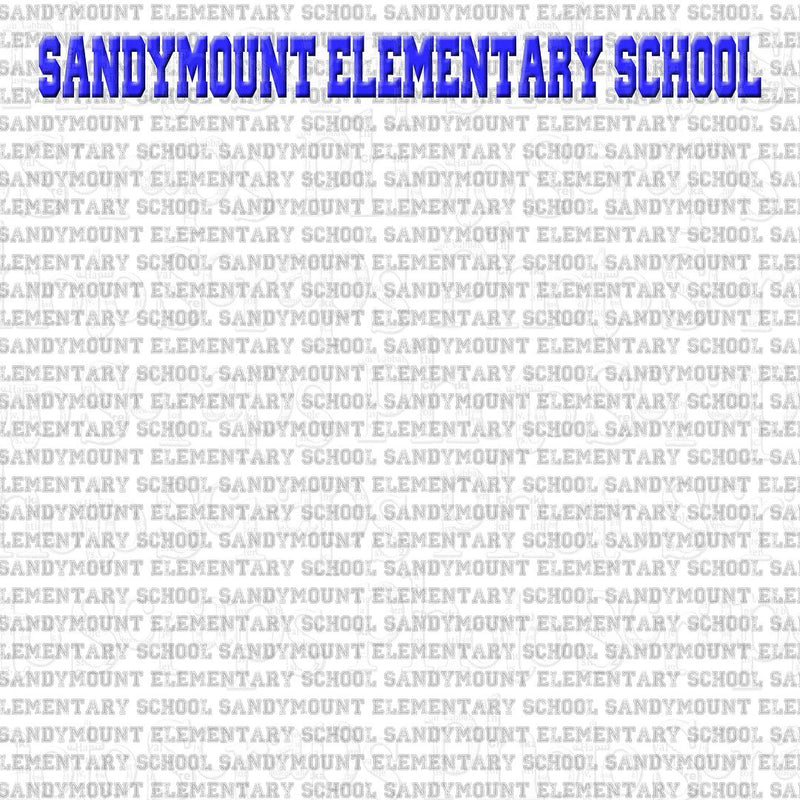 sandymount elementary school